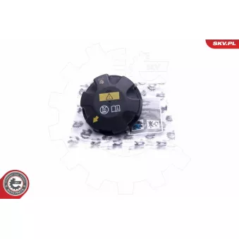 Bouchon, réservoir de liquide de refroidissement ESEN SKV 61SKV001