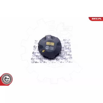 Bouchon, réservoir de liquide de refroidissement ESEN SKV 61SKV002