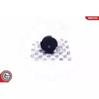 Bouchon, réservoir de liquide de refroidissement ESEN SKV 61SKV003