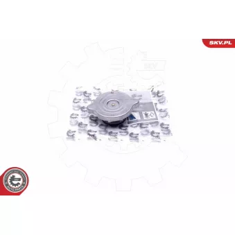 Bouchon, réservoir de liquide de refroidissement ESEN SKV 61SKV004