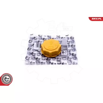 Bouchon, réservoir de liquide de refroidissement ESEN SKV