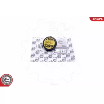 Bouchon, réservoir de liquide de refroidissement ESEN SKV 61SKV008