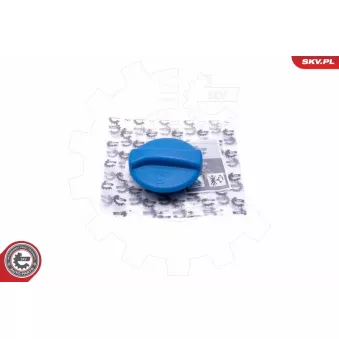 Bouchon, réservoir de liquide de refroidissement ESEN SKV 61SKV009