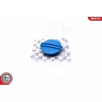 Bouchon, réservoir de liquide de refroidissement ESEN SKV 61SKV010
