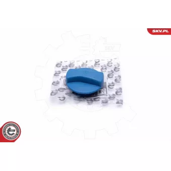Bouchon, réservoir de liquide de refroidissement ESEN SKV 61SKV011