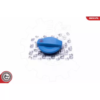 Bouchon, réservoir de liquide de refroidissement ESEN SKV 61SKV012