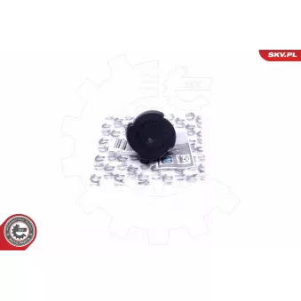 Bouchon, réservoir de liquide de refroidissement ESEN SKV 61SKV015