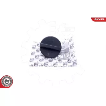 Bouchon, réservoir de liquide de refroidissement ESEN SKV 61SKV018