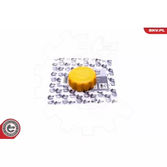 Bouchon, réservoir de liquide de refroidissement ESEN SKV 61SKV021