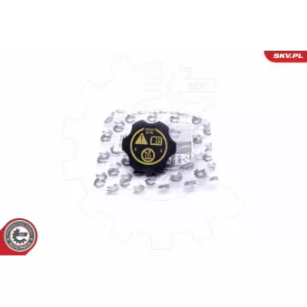 Bouchon, réservoir de liquide de refroidissement ESEN SKV 61SKV023