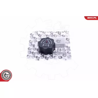 Bouchon, réservoir de liquide de refroidissement ESEN SKV 61SKV025