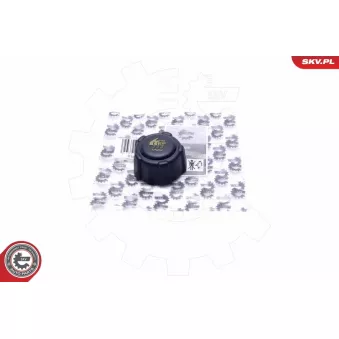 Bouchon, réservoir de liquide de refroidissement ESEN SKV 61SKV027