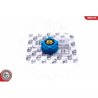 Bouchon, réservoir de liquide de refroidissement ESEN SKV 61SKV028