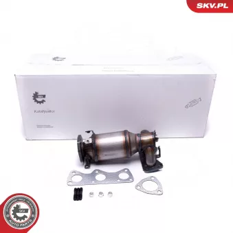 Catalyseur ESEN SKV 62SKV010