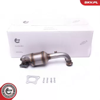 Catalyseur ESEN SKV 62SKV011