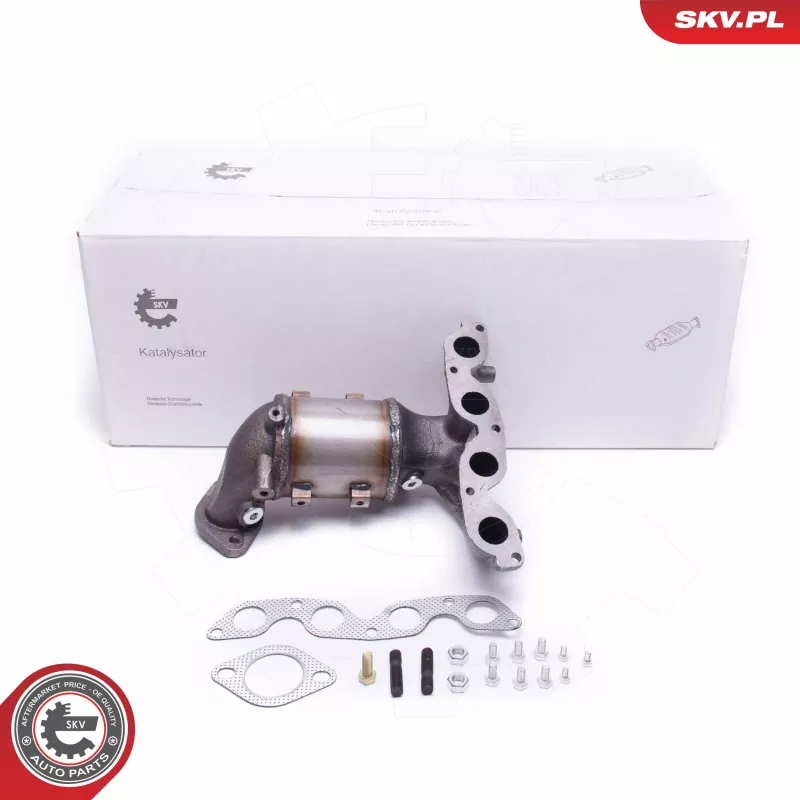 Catalyseur ESEN SKV 62SKV013