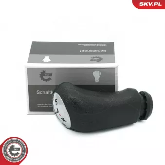 Pommeau ESEN SKV 63SKV108