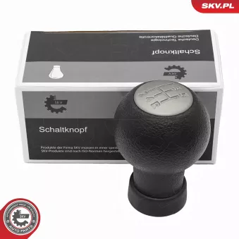 Pommeau de vitesses ESEN SKV 63SKV165