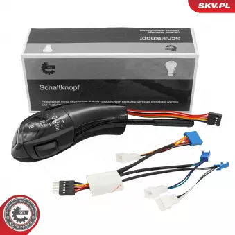 Pommeau de vitesses ESEN SKV 63SKV203