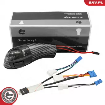 Pommeau de vitesses ESEN SKV 63SKV204