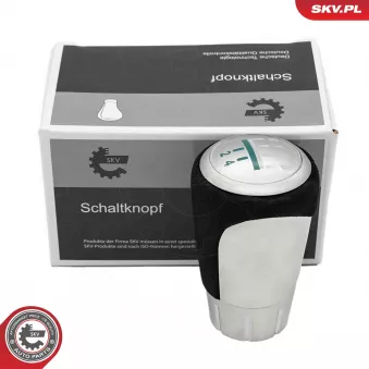 Pommeau de vitesses ESEN SKV 63SKV213