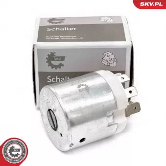 Interrupteur d'allumage/de démarreur ESEN SKV 65SKV039