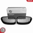 Grille de radiateur ESEN SKV 66SKV014 - Visuel 1