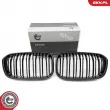 Grille de radiateur ESEN SKV 66SKV019 - Visuel 1