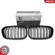 Grille de radiateur ESEN SKV 66SKV021 - Visuel 1