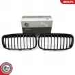 Grille de radiateur ESEN SKV 66SKV039 - Visuel 1
