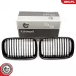 Grille de radiateur ESEN SKV 66SKV043 - Visuel 1