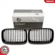 Grille de radiateur ESEN SKV 66SKV046 - Visuel 1
