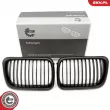 Grille de radiateur ESEN SKV 66SKV051 - Visuel 1
