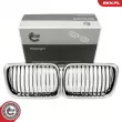 Grille de radiateur ESEN SKV 66SKV052 - Visuel 1