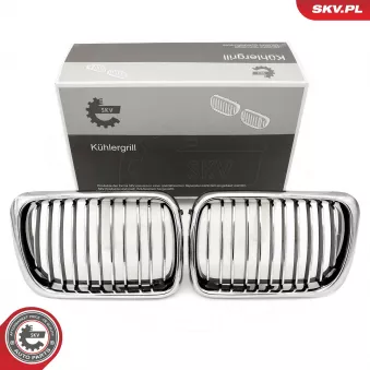 Grille de radiateur ESEN SKV 66SKV052