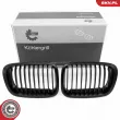 Grille de radiateur ESEN SKV 66SKV062 - Visuel 1