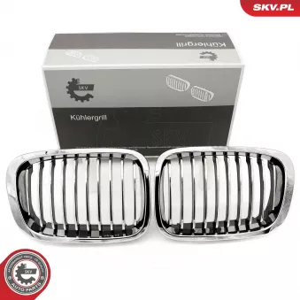 Grille de radiateur ESEN SKV 66SKV063