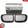 Grille de radiateur ESEN SKV 66SKV065 - Visuel 1