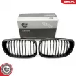 Grille de radiateur ESEN SKV 66SKV068 - Visuel 1