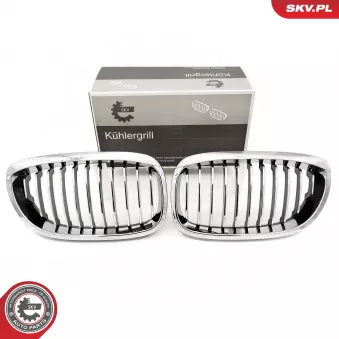 Grille de radiateur ESEN SKV 66SKV070