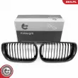 Grille de radiateur ESEN SKV 66SKV080 - Visuel 1