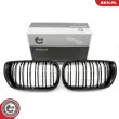 Grille de radiateur ESEN SKV 66SKV081 - Visuel 1