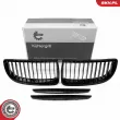 Grille de radiateur ESEN SKV 66SKV085 - Visuel 1