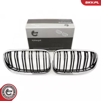 Grille de radiateur ESEN SKV 66SKV118