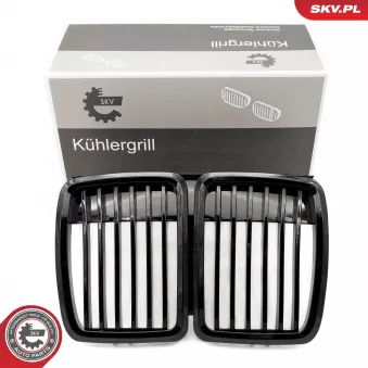 Grille de radiateur ESEN SKV 66SKV146