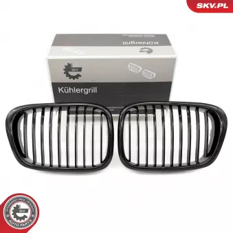 Grille de radiateur ESEN SKV 66SKV156