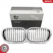 Grille de radiateur ESEN SKV 66SKV159 - Visuel 1