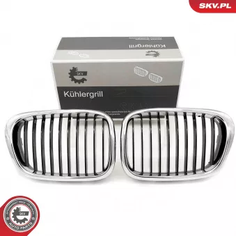 Grille de radiateur ESEN SKV 66SKV160