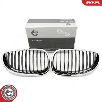 Grille de radiateur ESEN SKV 66SKV169