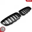 Grille de radiateur ESEN SKV 66SKV183 - Visuel 2